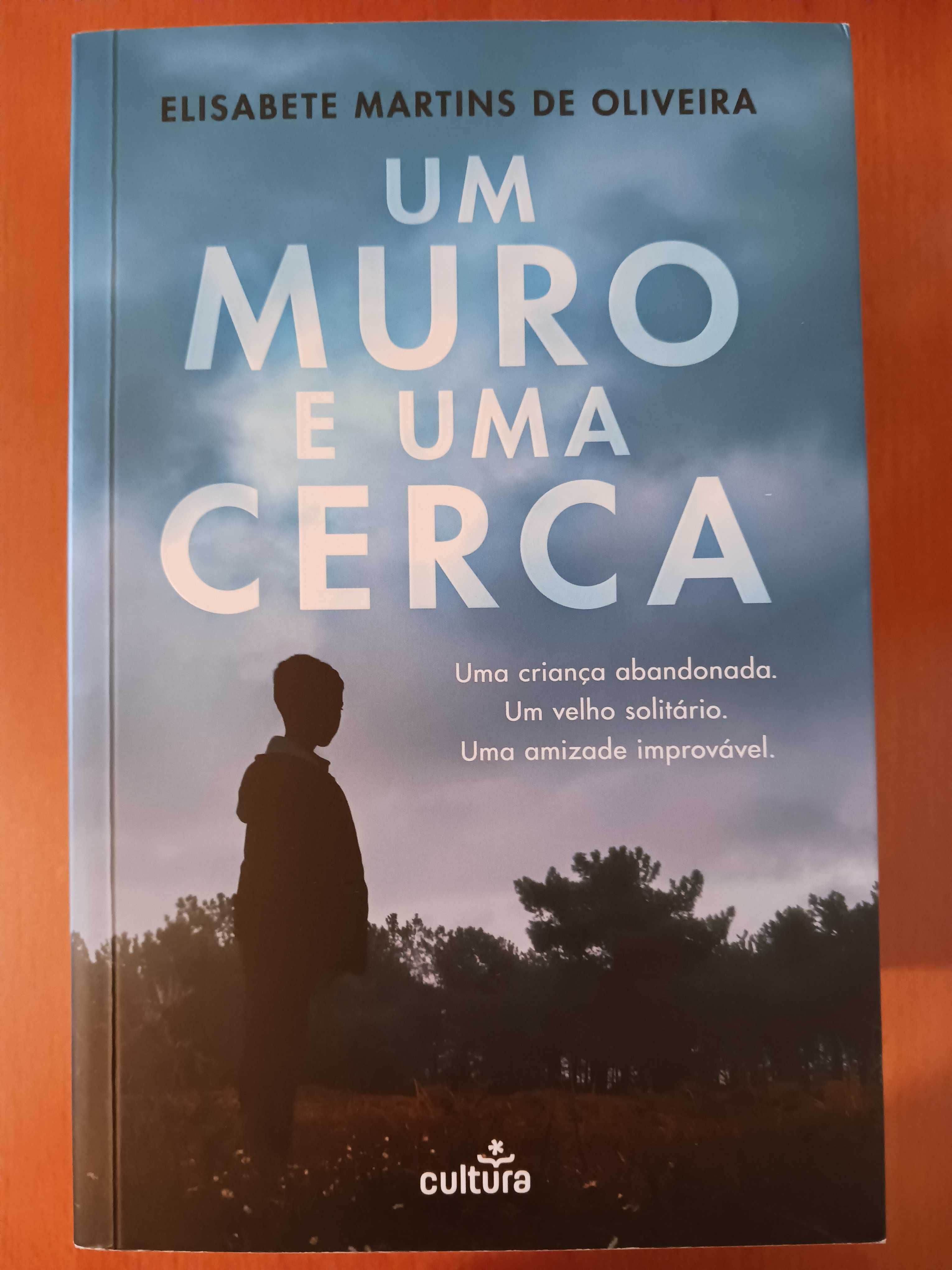 Um muro e uma cerca, de Elisabete Martins de Oliveira