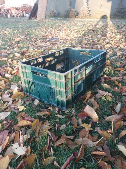 Sprzedam Skrzynki 24kg