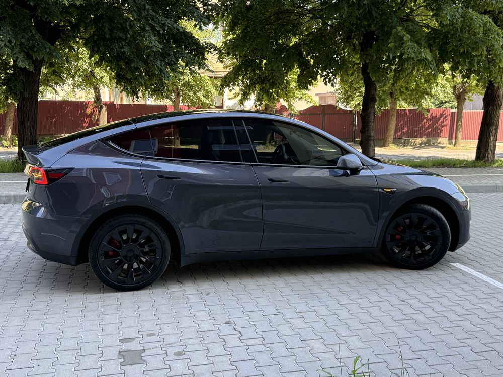 Tesla Y. Тесла у 23р