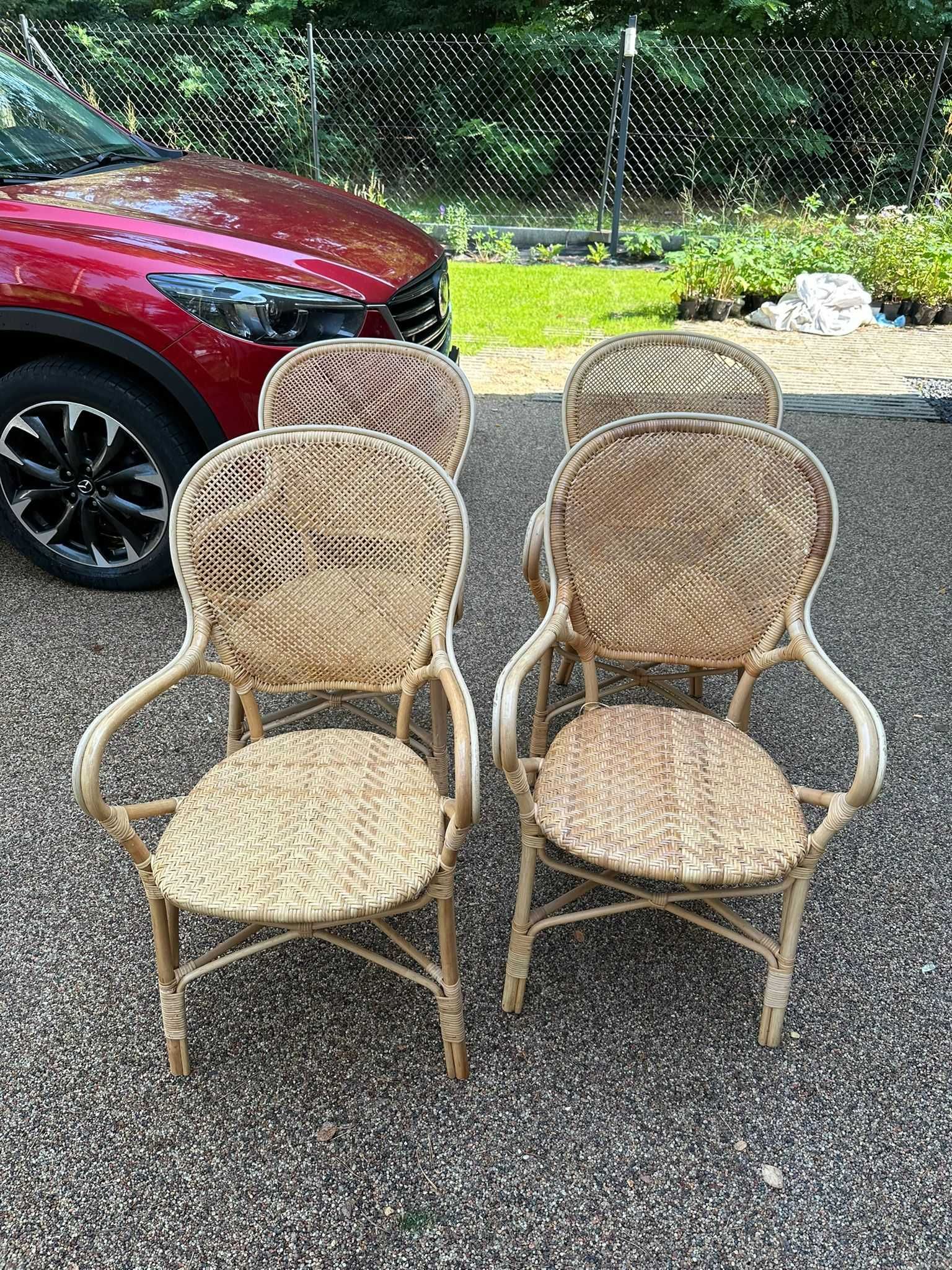 ROSSINI krzesła rattanowe - 4 sztuki - marki SIKA DESIGN