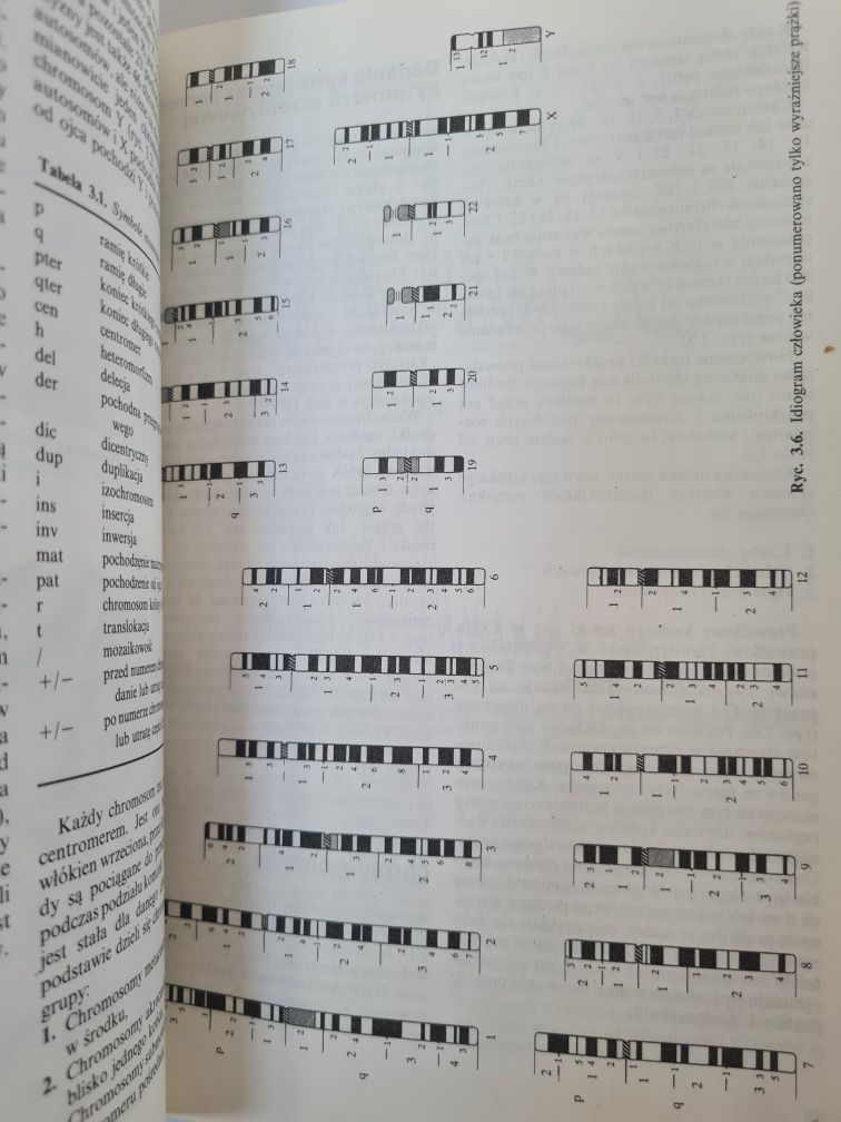 Podstawy genetyki medycznej - Książka