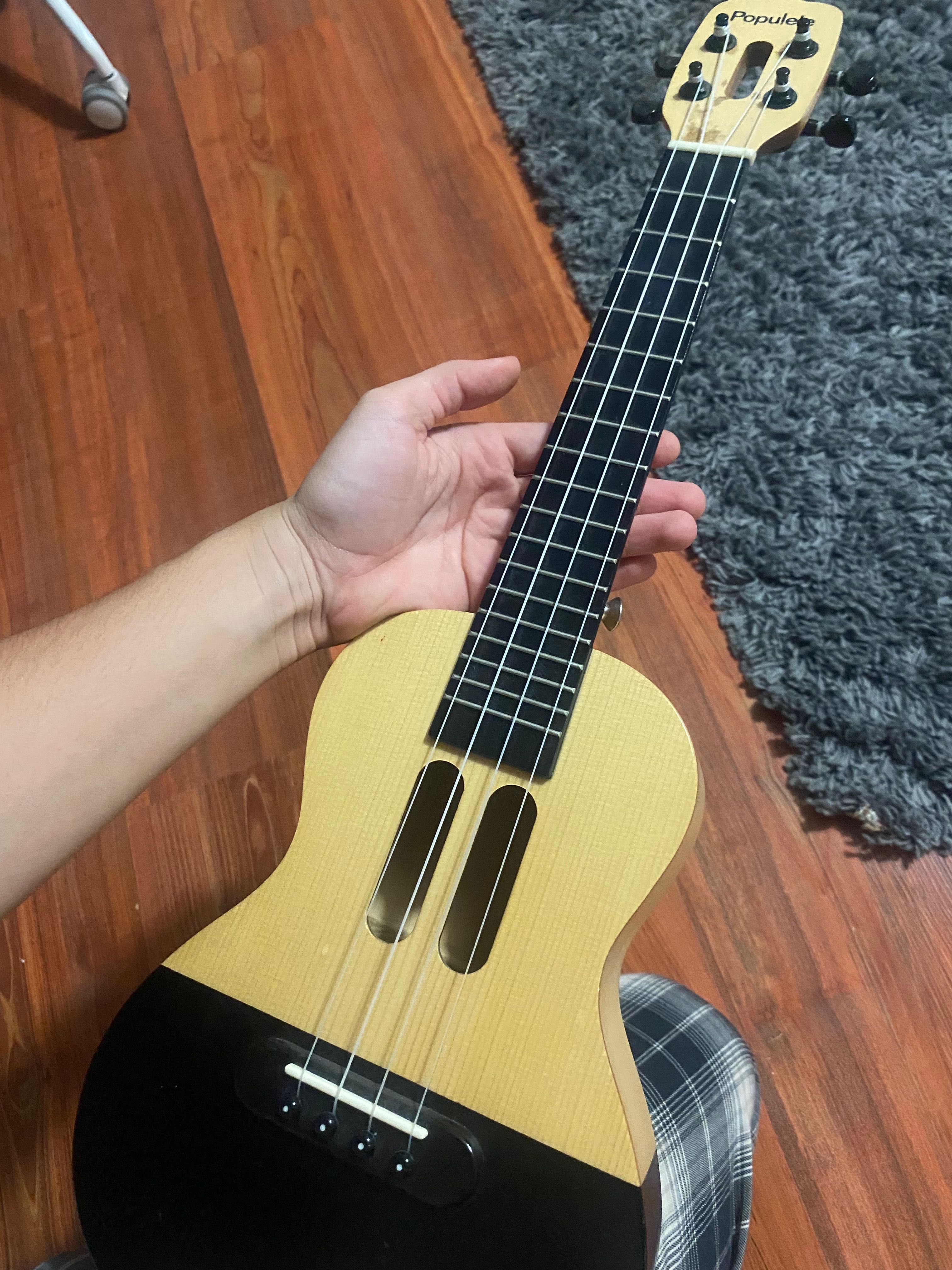 Populele, Smart Ukulele