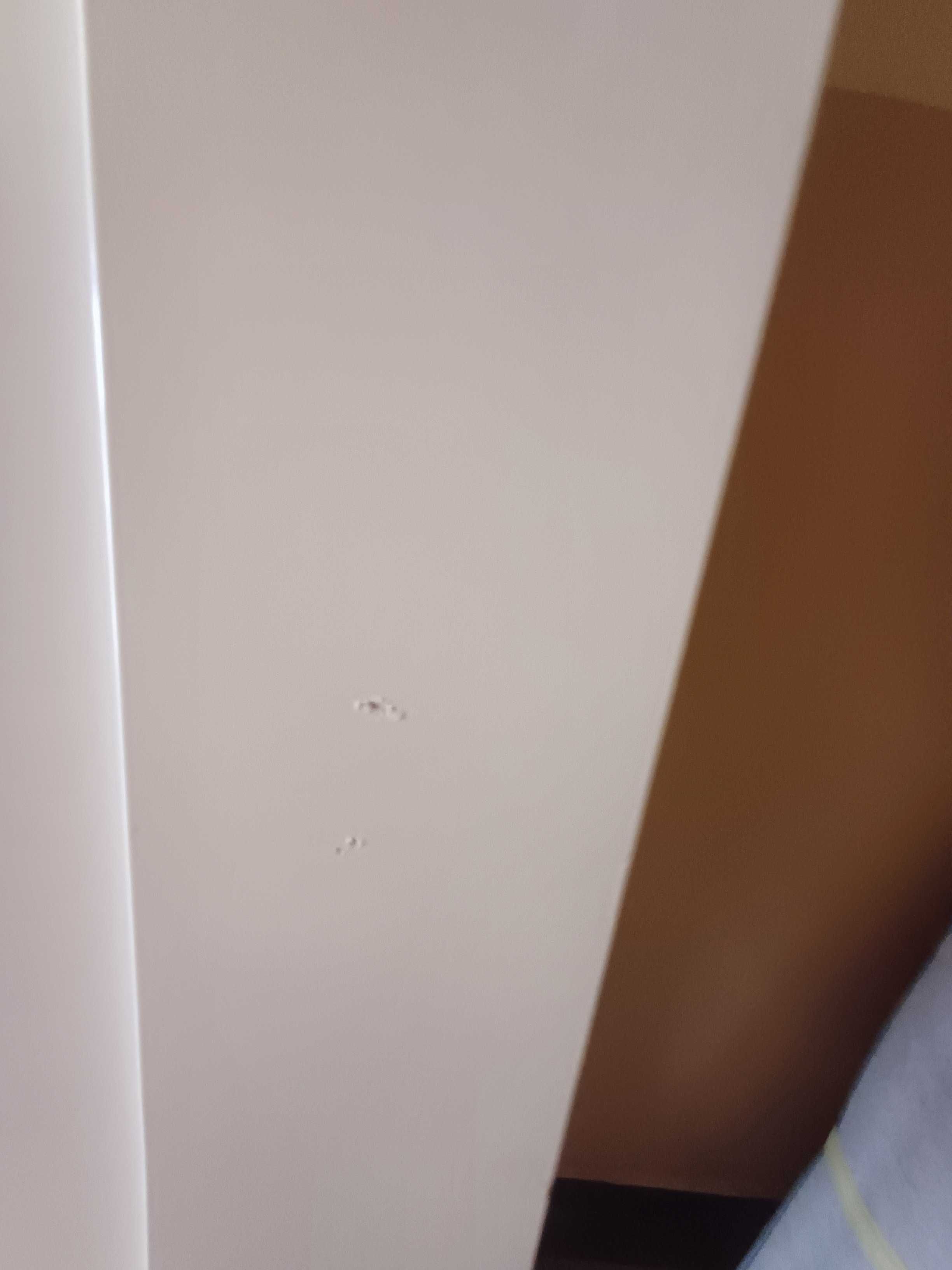 drzwi do szafy  PAX IKEA BIAŁE 2 SZT.