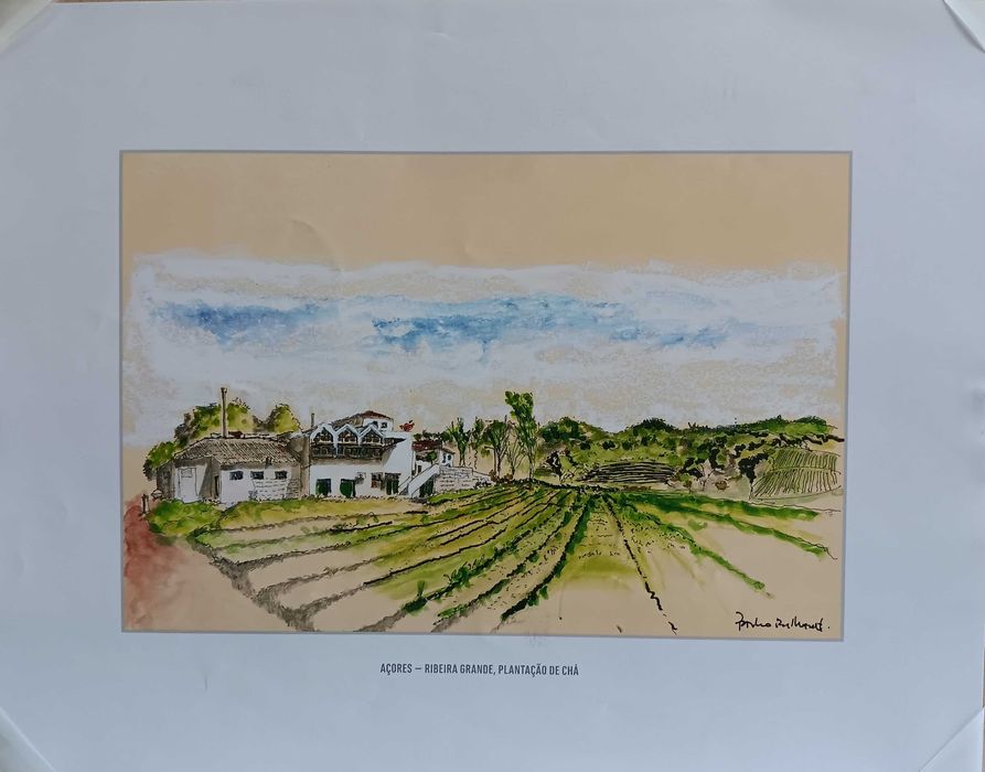 Açores em litografia de aguarela de Paulo Brilhante