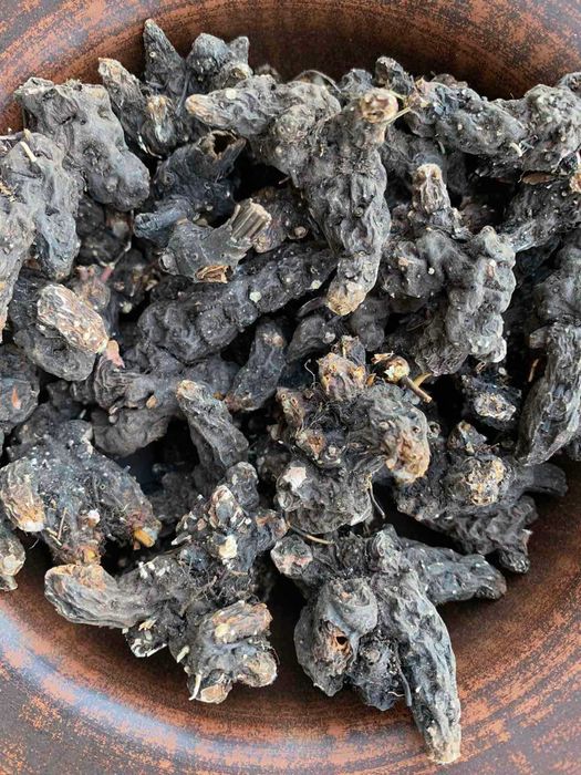 сухий корінь калгана, корень калгана, корінь калгану сушений