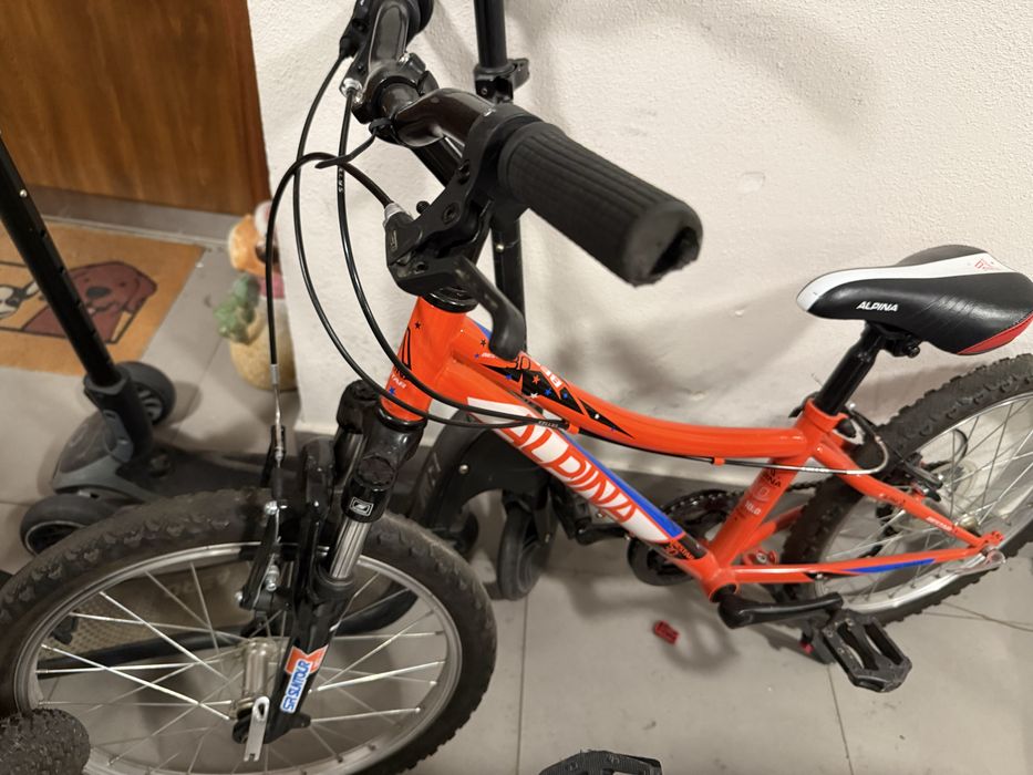 Alpina junior 20 rower