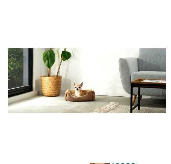 Legowisko dla psa z dwustronną poduszką, antypoślizgowe, 50 × 37 cm