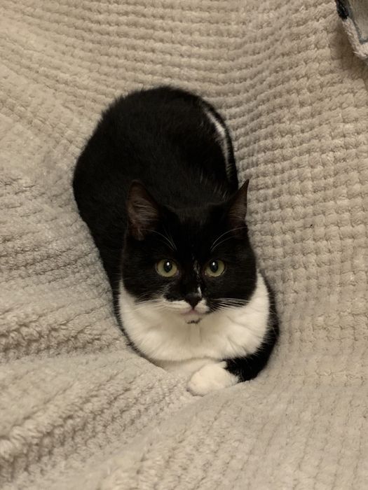 Дівчинка шукає люблячу сімʼю