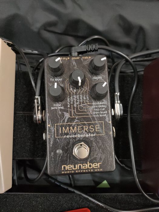 Neunaber immerse reverberator mk1