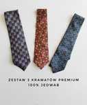 Zestaw jedwabnych krawatów silk soie seta Krawaty z jedwabiu
