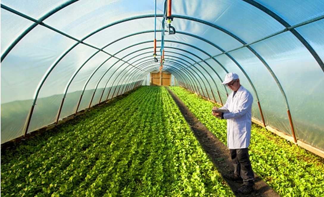 3x5m Przezroczysta plandeka z oczkami z pasami mocującymi, trwała