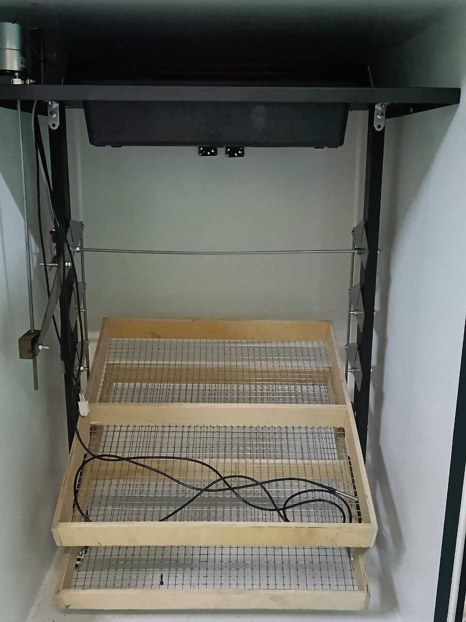 Automatyczny inkubator
