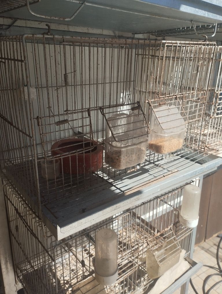 Gaiola para canários outros pássaros