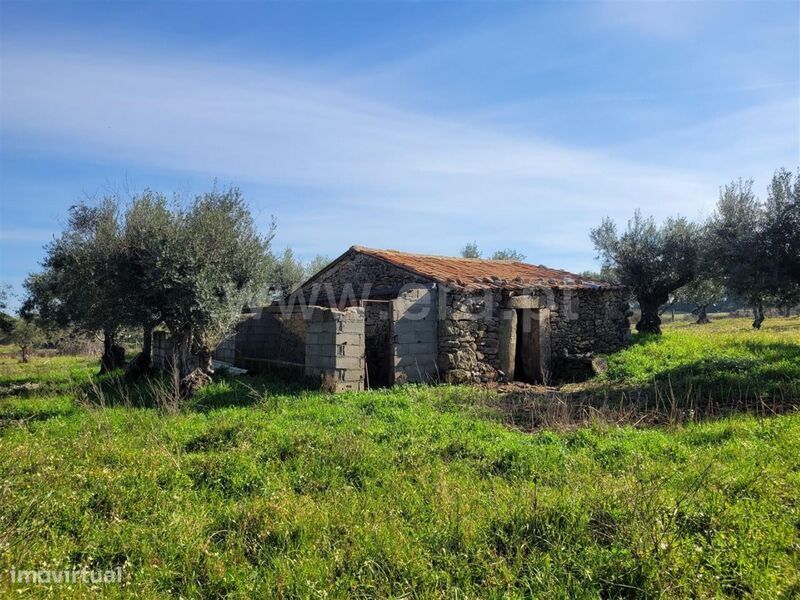 Quintinha / Fundão, Atalaia do Campo