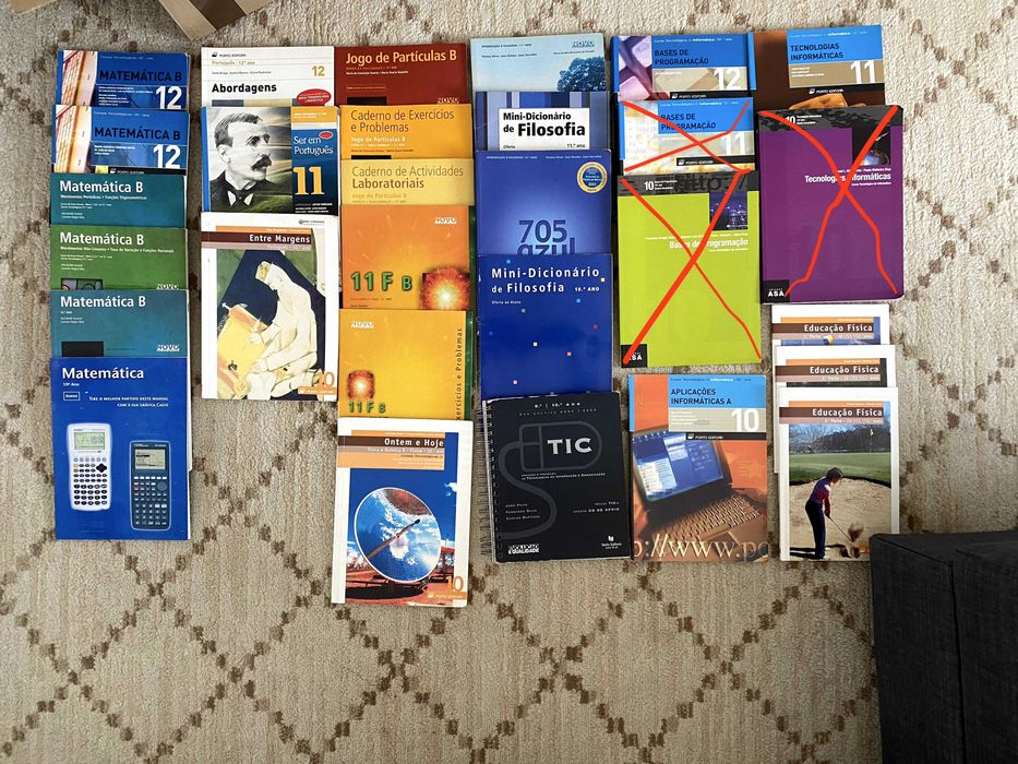 Vários livros, Dicionários, Informática e Programação