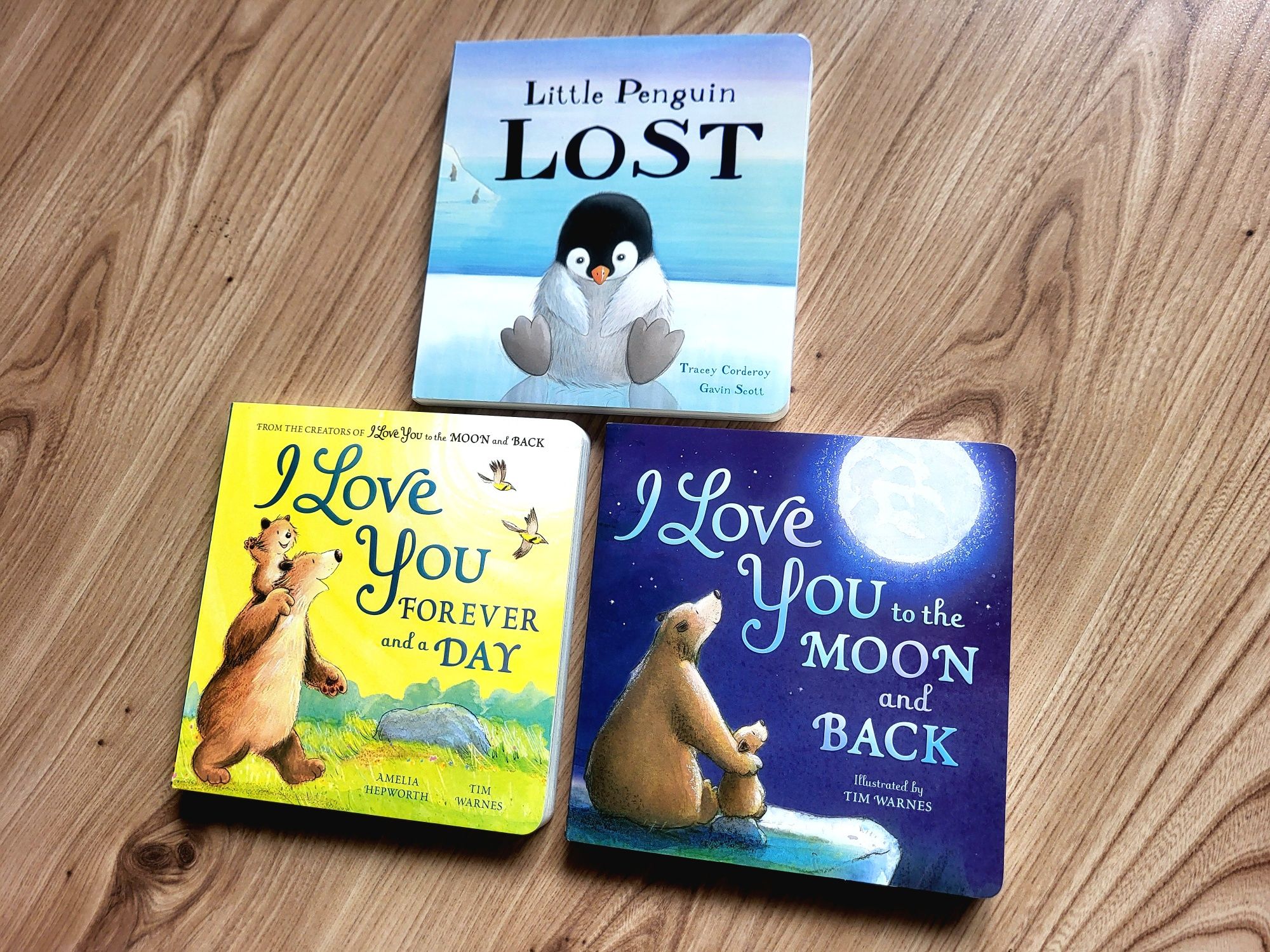 I Love You Forever and a Day opowieści o miłości board book