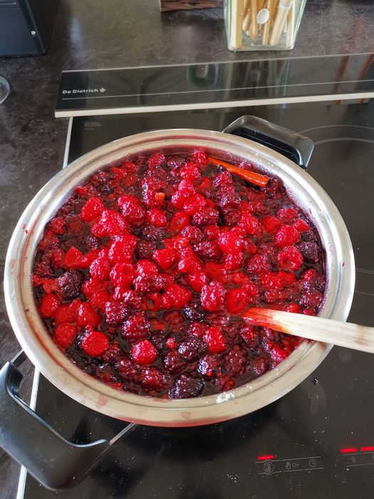 Pés ( planta)de amoras pretas; excelente qualidade