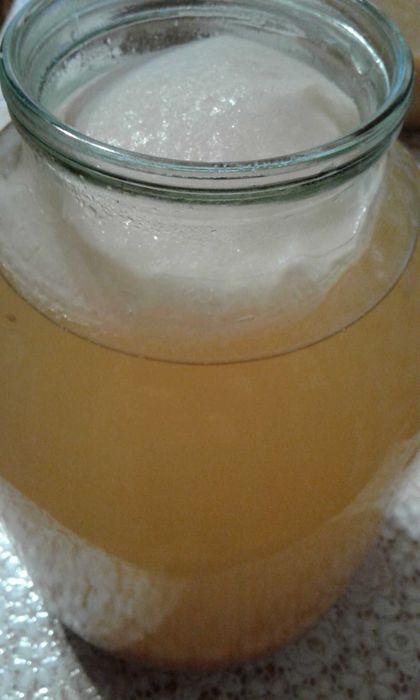 Оцет натуральний яблучний, виноградний, з порічок (червоної смородини)