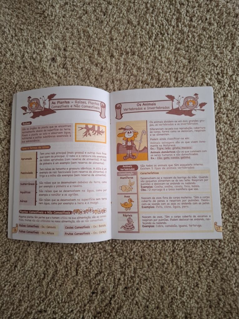 Livro de aprendizagem Estudo do Meio e Aprende o Acordo Ortográfico.