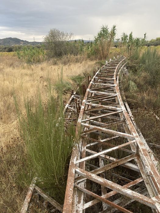 Asnes de ferro para venda