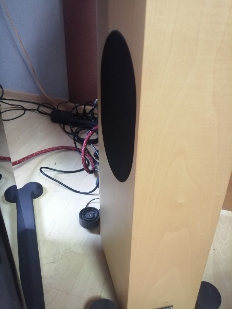Audio Physic tempo VI