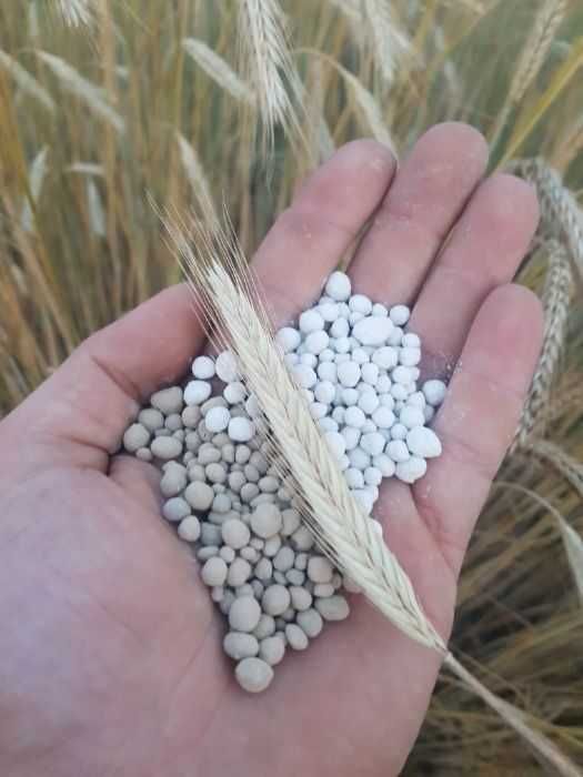 Wapno Nawozowe z magnezem Granulowane magnezowe Szybka realizacja