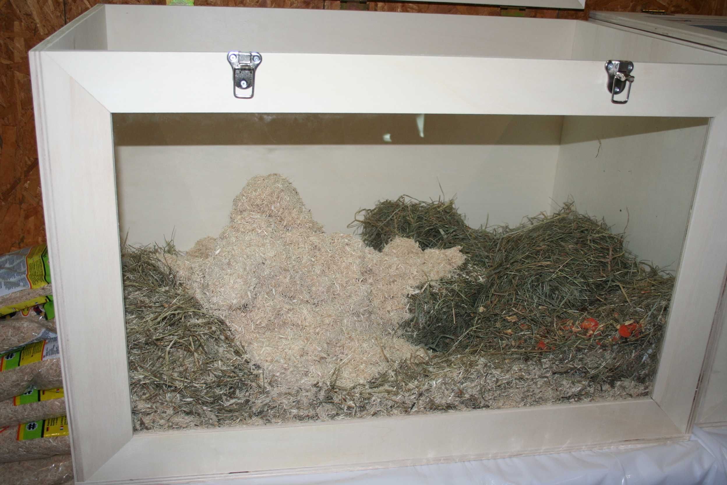 Terrário para hamsters ou outros roedores