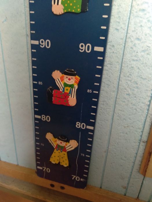 Линейка OLX доставка.