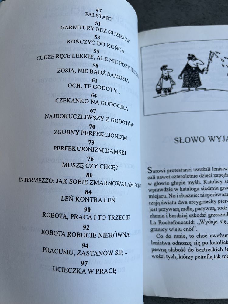 Poradnik dla Leni Janina Wieczerska jak robić żeby się nie narobić