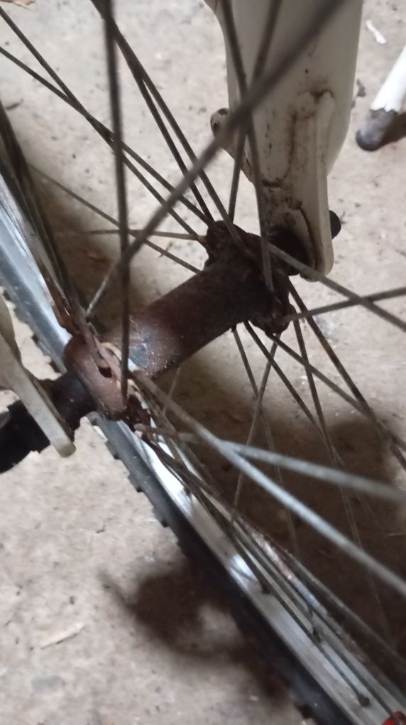 Bicicleta de desporto