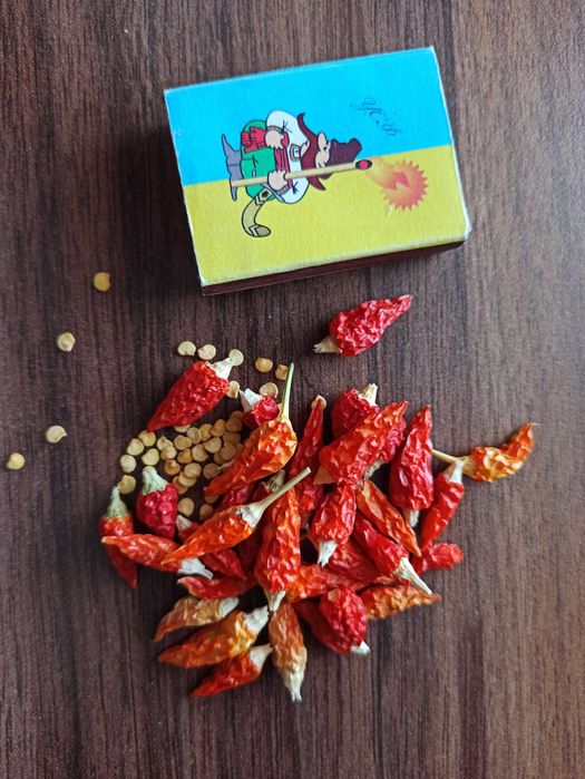 Насіння Перець декоративний домашній мініатюрний Стріла