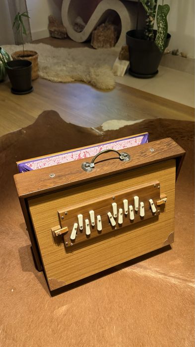 Shruti box Sound Healing