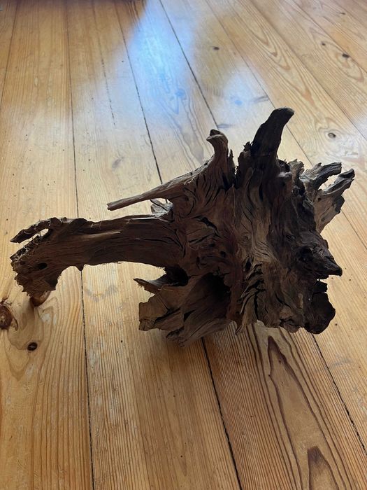 Tronco para Aquário