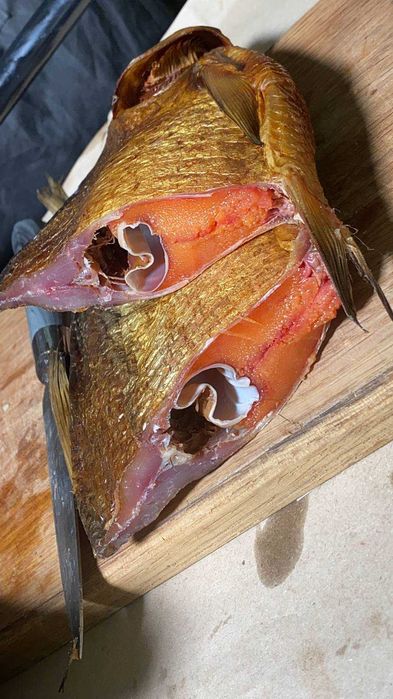 ВЕРХОВОДКА З ІКРОЮ плотва синець окунь