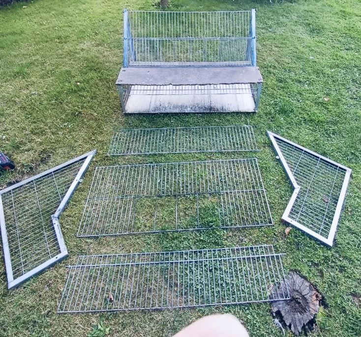 Klapy wloty dla golębi