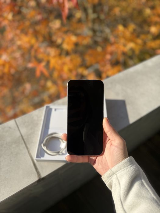 Iphone 15 Pro Max Titânio Natural