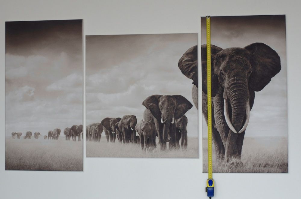 Картина слоны, печать на холсте, модульные картины, фотокартина