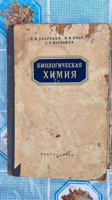 Человеческий торс — анатомически точная модель