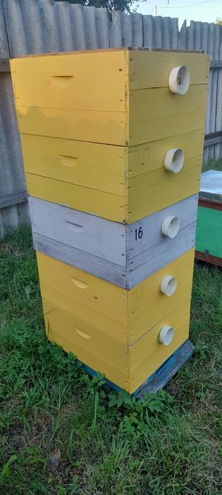 Вулики корпусні Рута