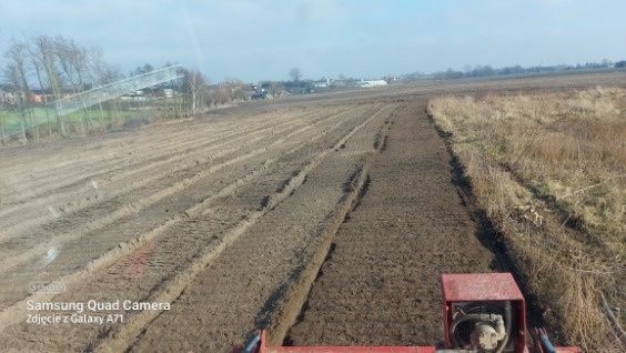 Mulczer Wgłębny, Mulczer Leśny, Wycinki drzew  Frezowanie pni drzew