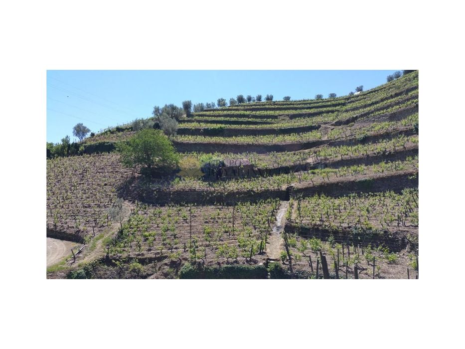 Quinta em Santa Marta de Penaguião - Vila Real