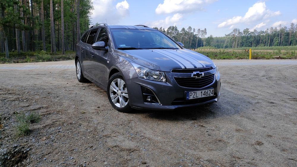 Prywatny kierowca  z autem