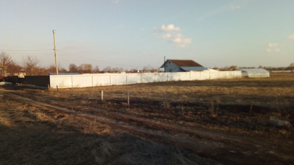 Продам участок 38 соток в селе Гоголев