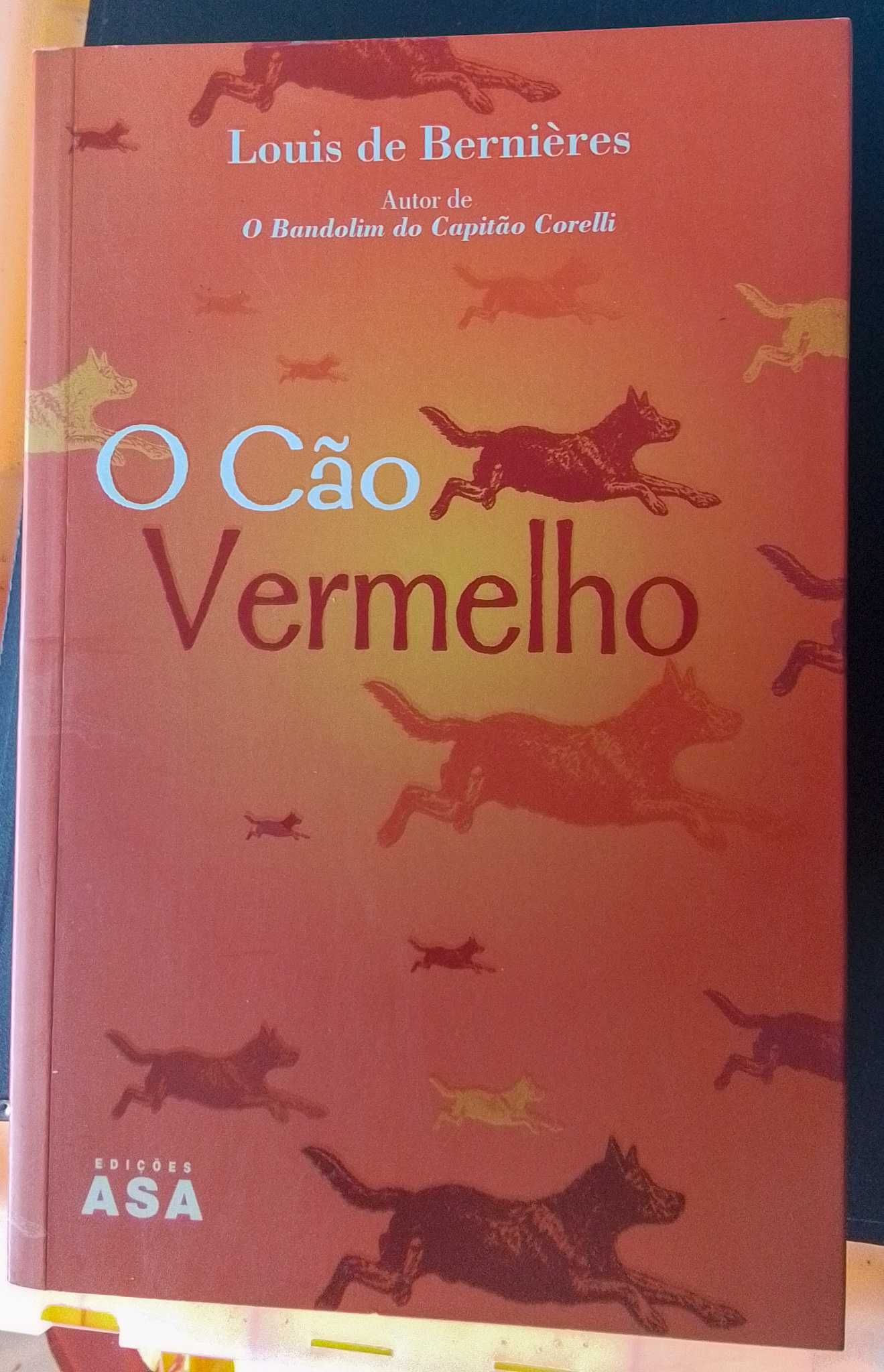 Pack de 5 livros de autores anglófonos
