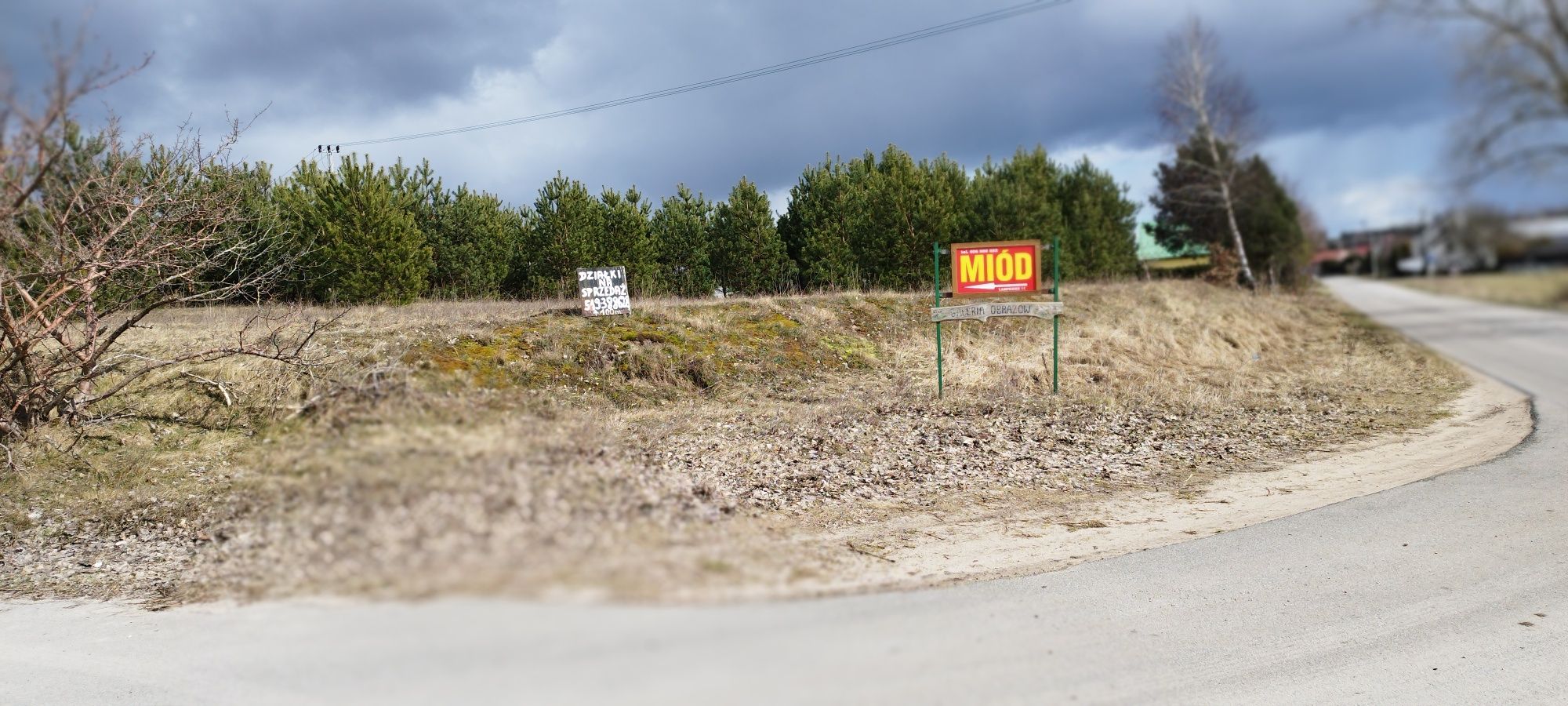 Działki budowlane(KASZUBY)