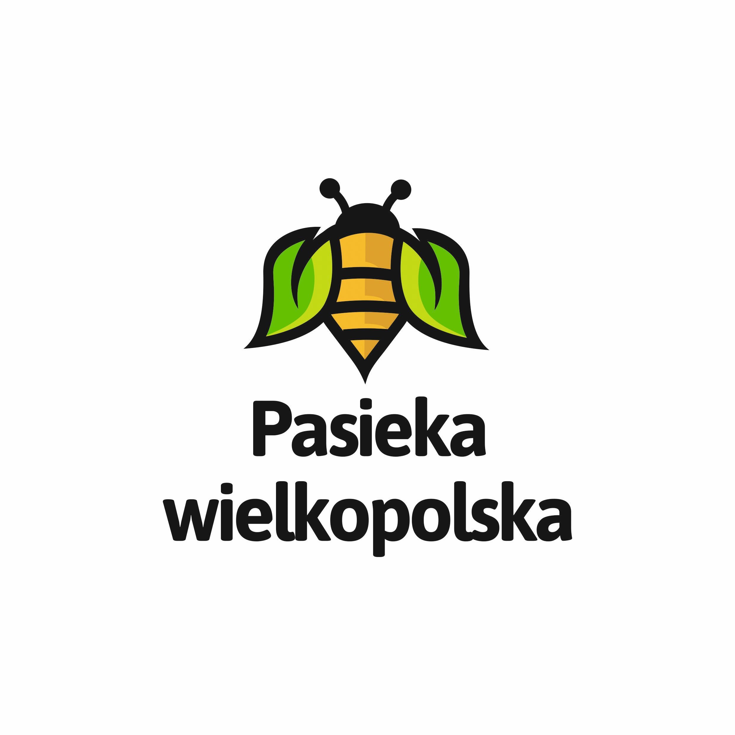 Węza pszczela wielkopolska 10kg, komórka 5,15 lub 5,4- przesyłka OLX