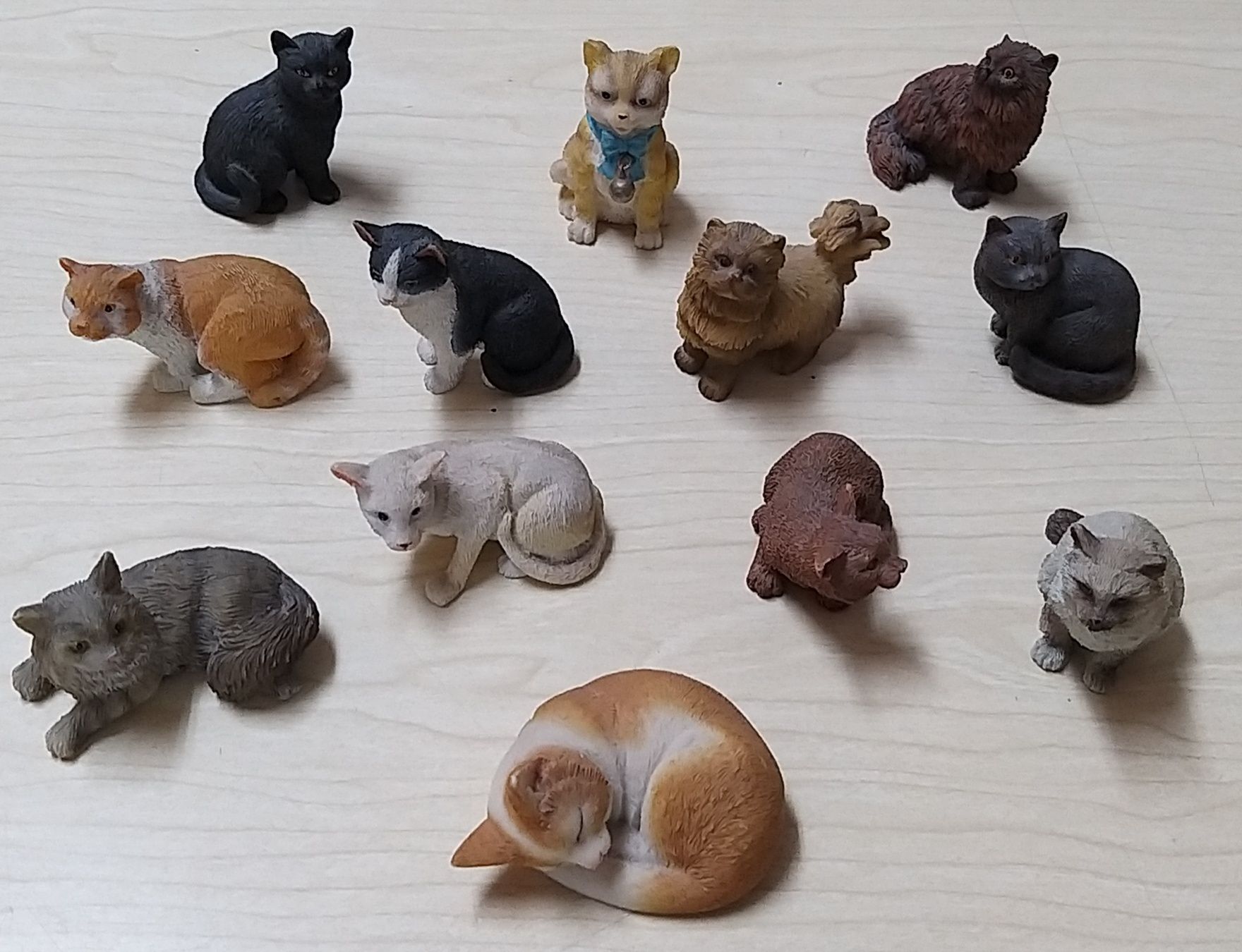 Coleção de 12 Gatos em diferentes posições