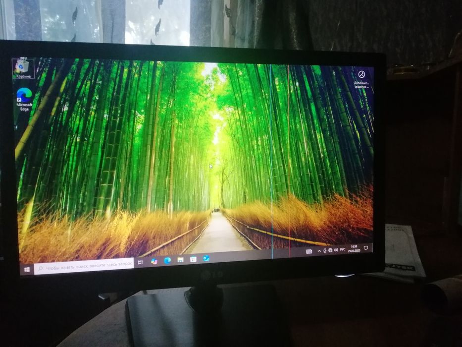 Монітори LG в робочому стані