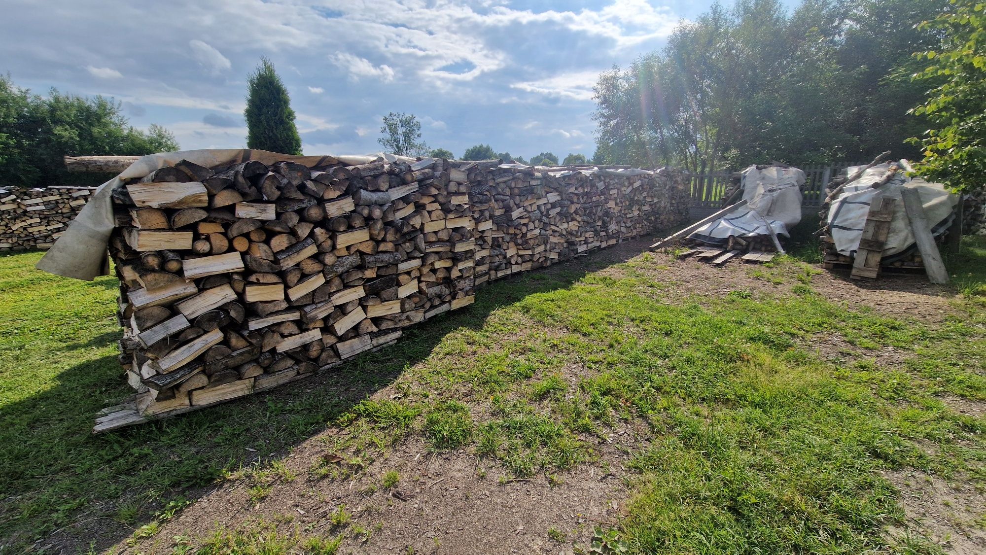 Suche drewno opałowe osika