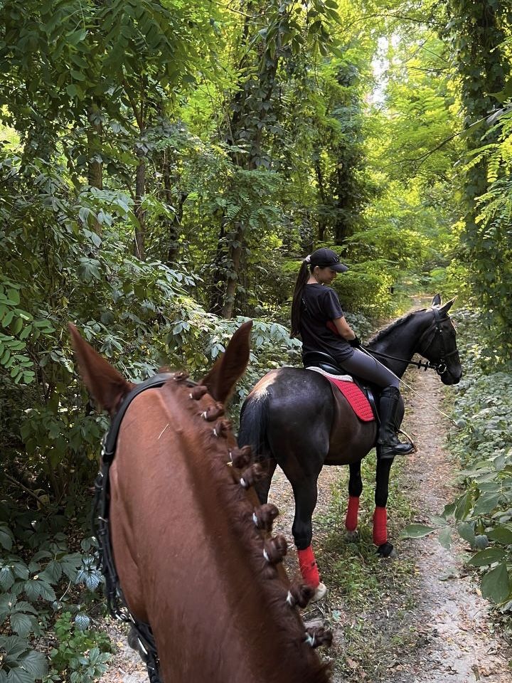 Прогулянки на конях/ Кінні прогулянки/ Фотосесія з конем конями